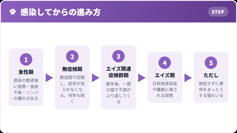 四つの病期