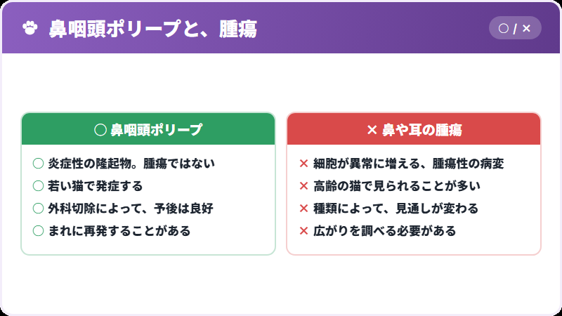 腫瘍との違い