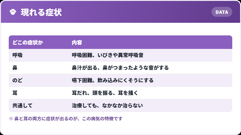 鼻と耳の症状