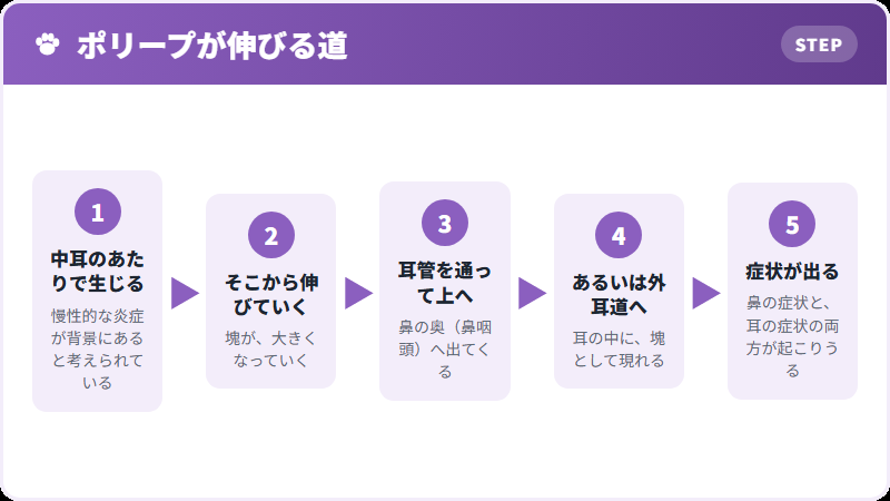 どこから伸びるか