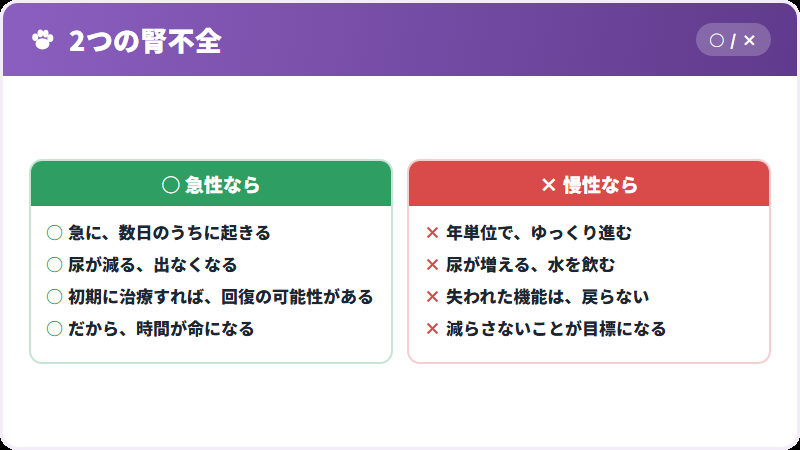急性と慢性の違い