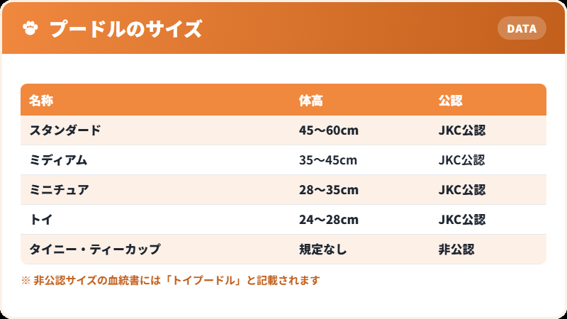 プードルの4サイズと非公認サイズの一覧