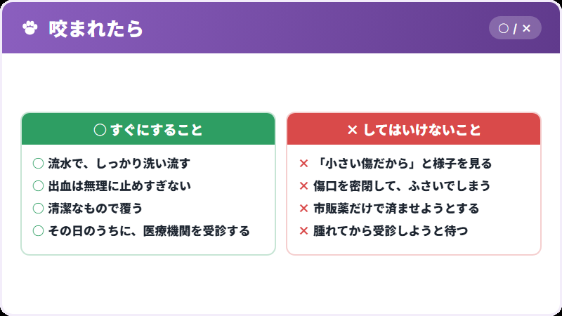 咬まれたときの対応