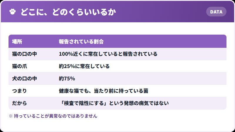 常在している割合