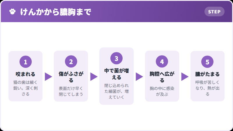 膿胸が起こるまで