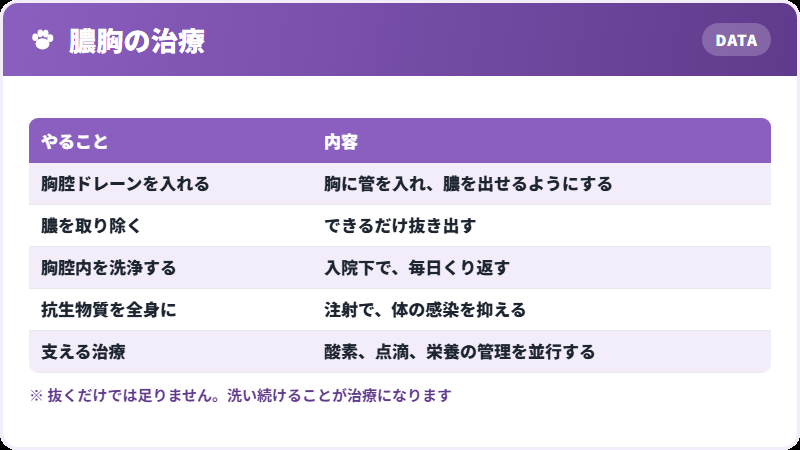 治療の中身
