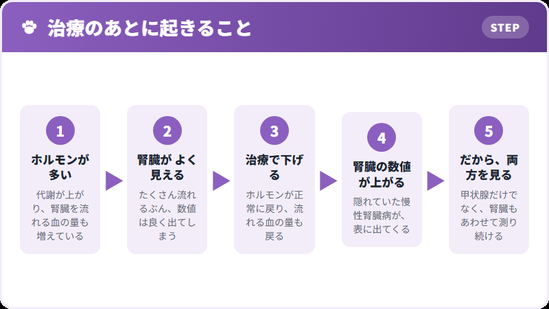 治療で腎臓が出てくる流れ