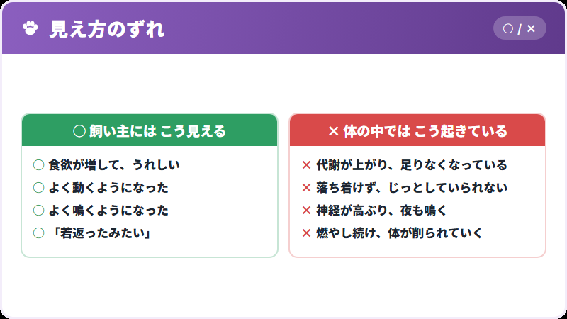 見え方と、実際に起きていること