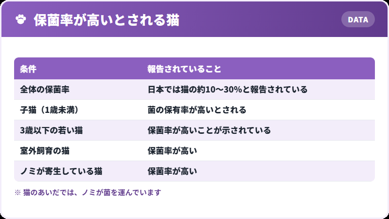 保菌しやすい猫