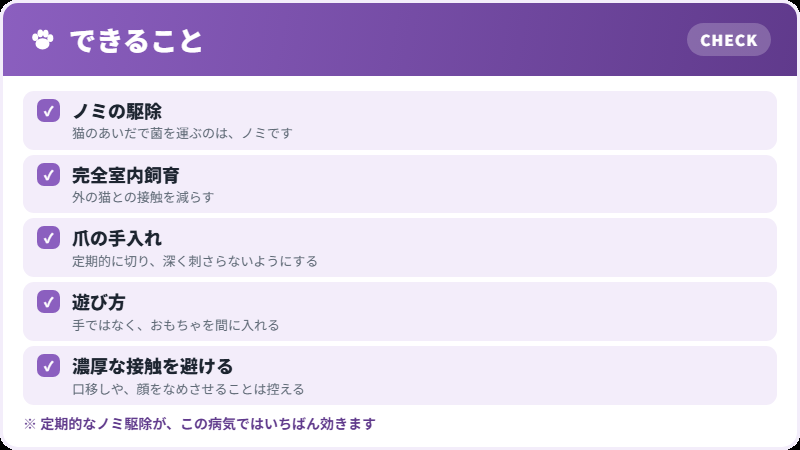 予防のポイント