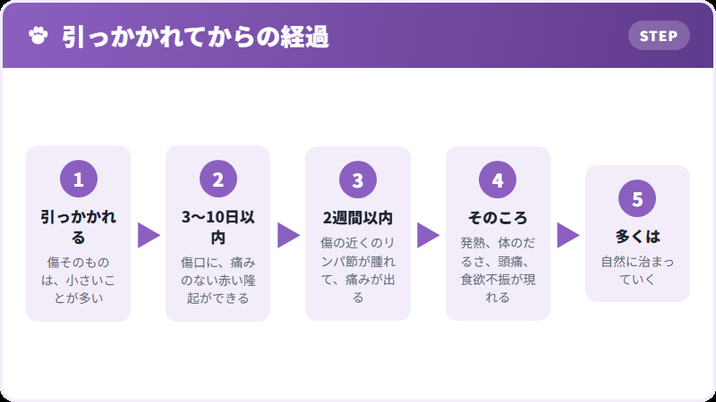 症状が出るまでの時間