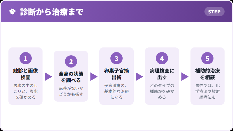 治療の流れ