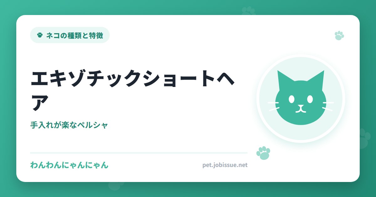 エキゾチックショートヘア