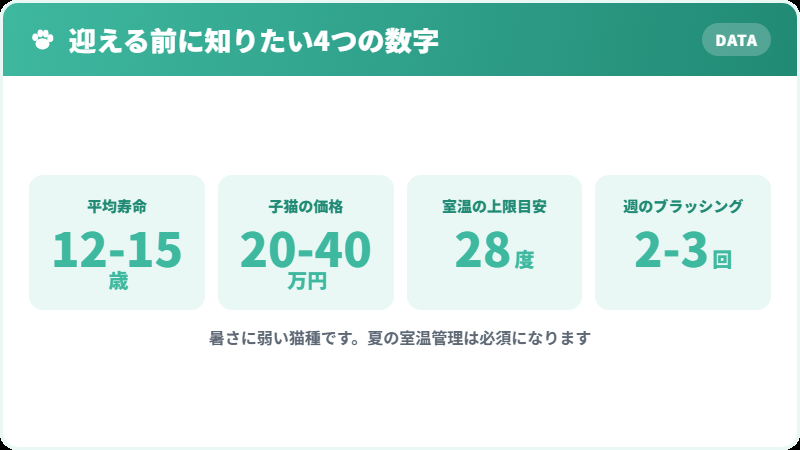 エキゾチックショートヘアを迎える前に知っておきたい4つの数字