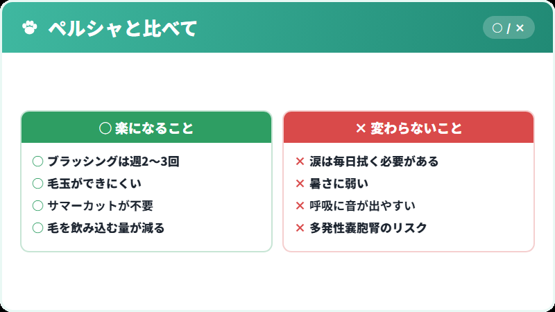 ペルシャとエキゾチックショートヘアの手入れの比較