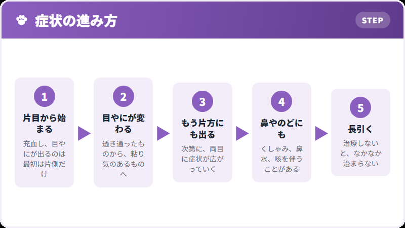 片目から両目へ