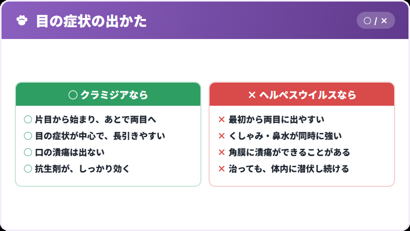 猫風邪との見分け