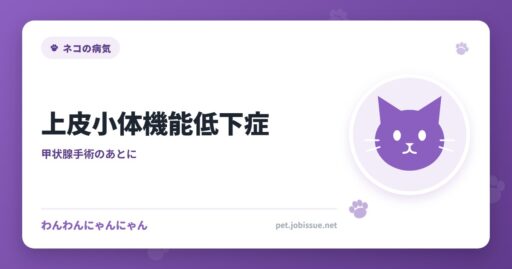 上皮小体機能低下症
