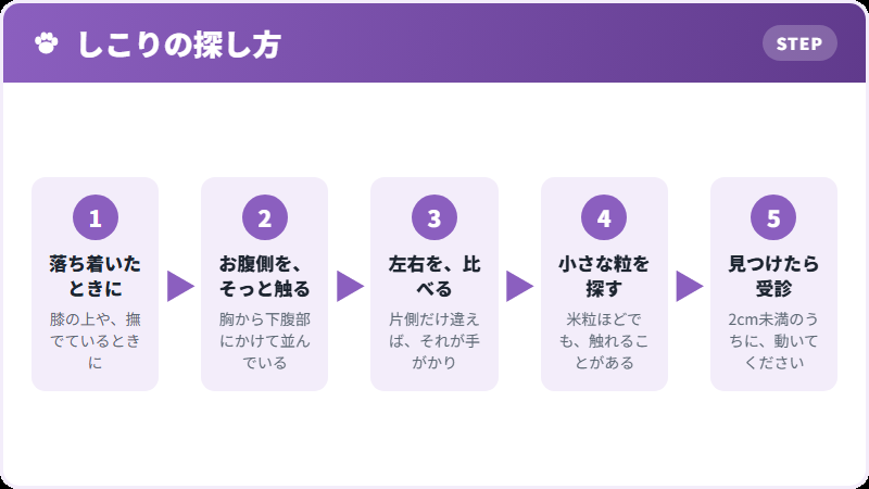 家で触って探す