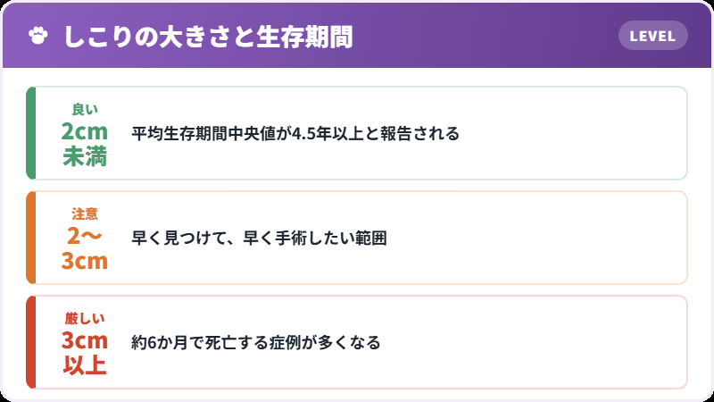 大きさと見通し
