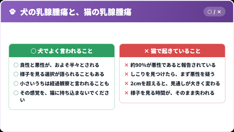 犬と猫の違い
