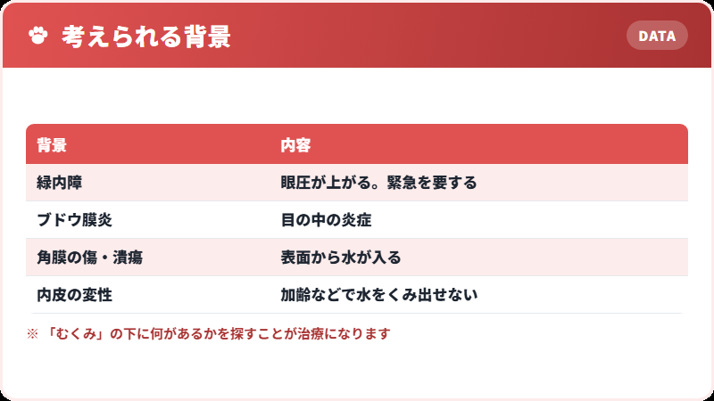 角膜浮腫の背景