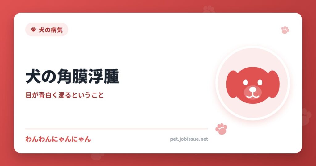 犬の角膜浮腫