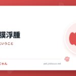 犬の角膜浮腫