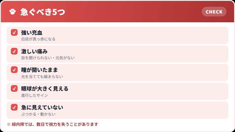 緑内障を疑うサイン