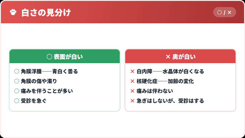 「目が白い」の見分け