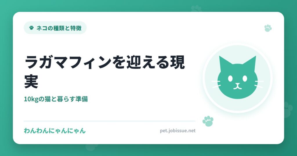 ラガマフィンを迎える現実