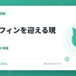 ラガマフィンを迎える現実