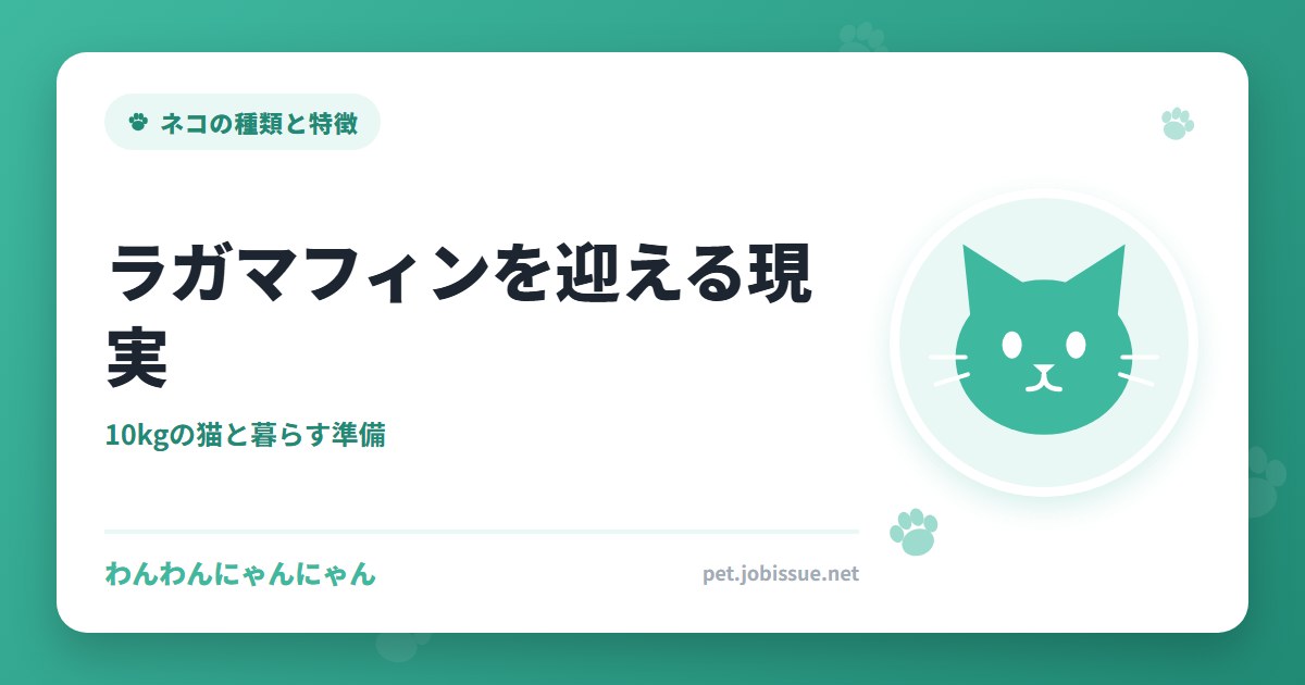 ラガマフィンを迎える現実