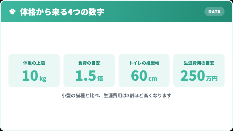 ラガマフィンを迎える前に知っておきたい4つの数字