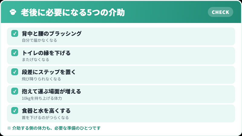 大型猫の老後に必要になる介助のチェックリスト