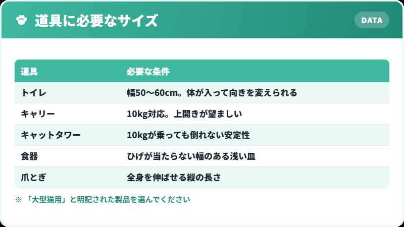 大型猫のために必要な道具のサイズ一覧