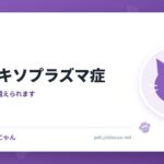猫のトキソプラズマ症