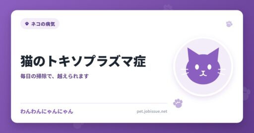 猫のトキソプラズマ症