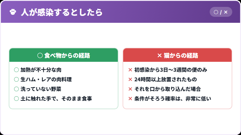 人の感染源
