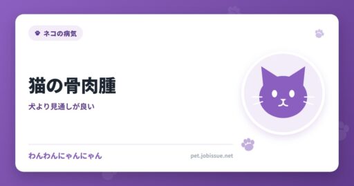 猫の骨肉腫
