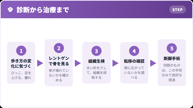 治療の流れ