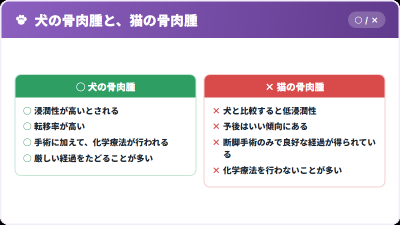 犬と猫の違い