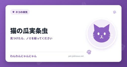 猫の瓜実条虫