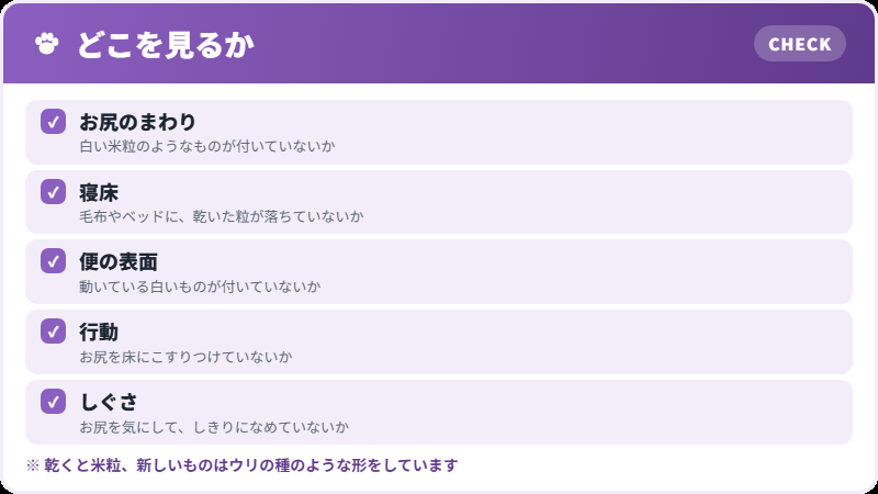 見つけ方