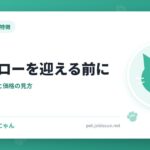 キンカローを迎える前に