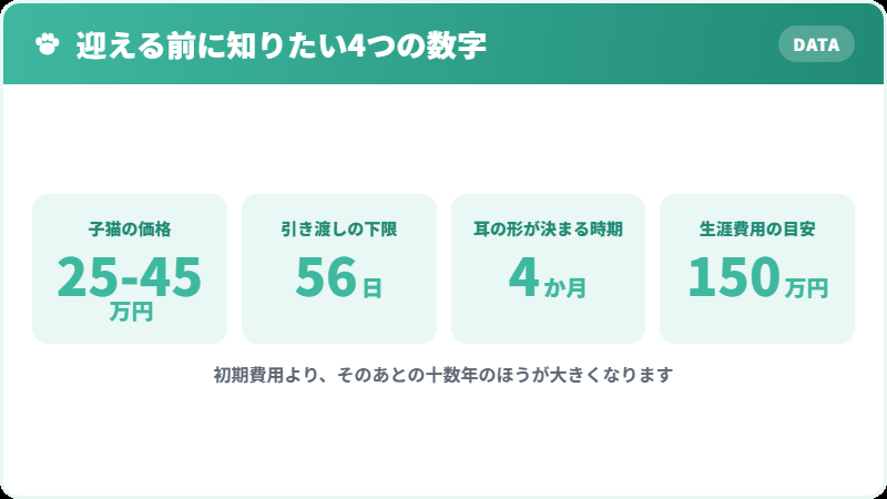 キンカローを迎えるときに関わる4つの数字