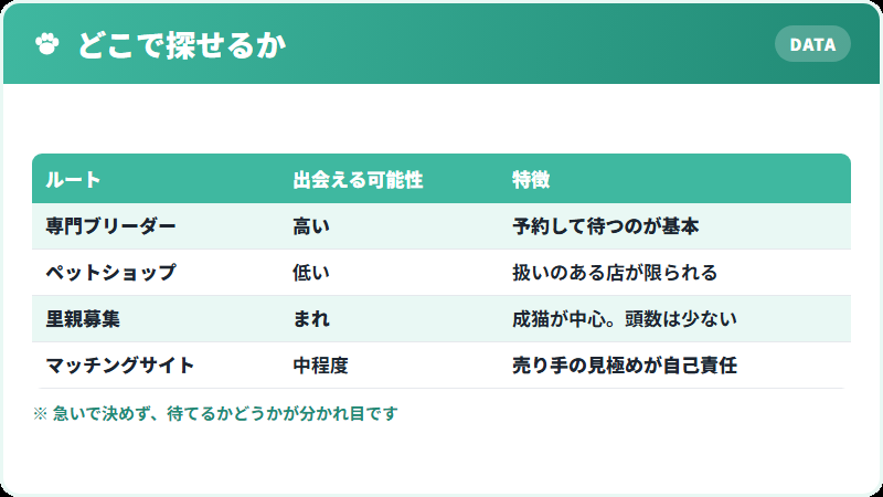 キンカローの入手ルートを比較した一覧