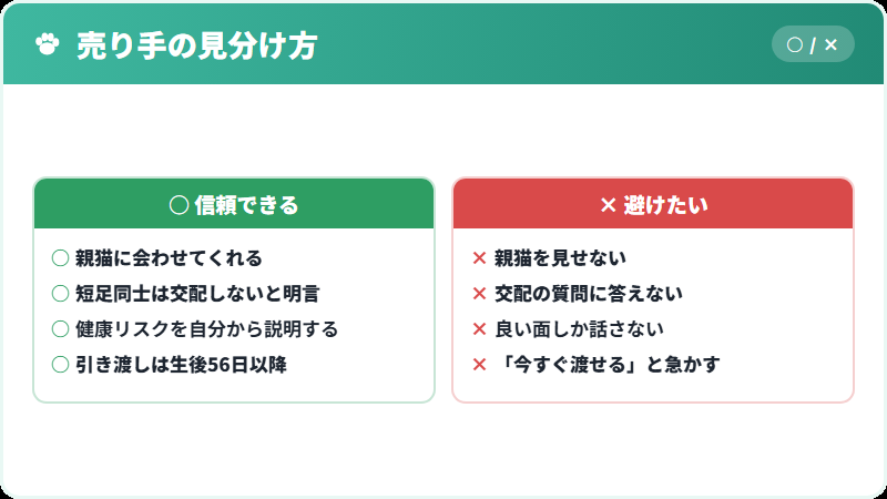 信頼できるブリーダーと避けたい売り手の比較
