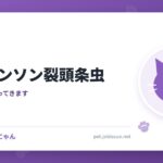 猫のマンソン裂頭条虫