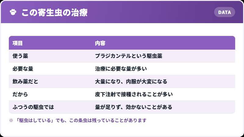 治療の特徴